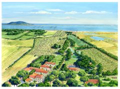 Bolig i Franikrike direkte ved Middelhavet