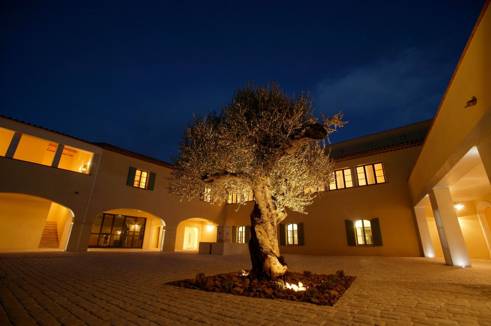 Villas and townhouses near Nice and Cannes Large property near Nice & Cannes